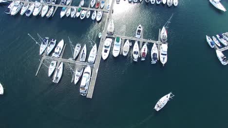 Crisp-vivid-aerial-shot-of-marina-with-boats-viewed-from-overhead-drone-in-flight