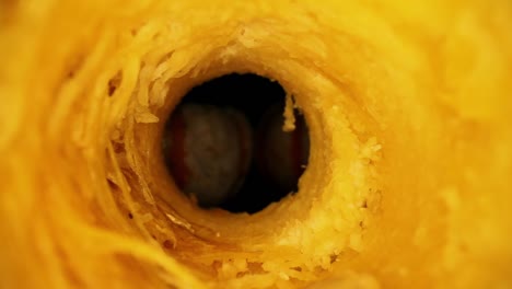 Moving-through-core-of-a-gourd---macro-view-of-the-interior-showing-lots-of-texture-and-details-of-the-vegetable---emerging-from-other-side,-two-other-intact-gourds-in-view