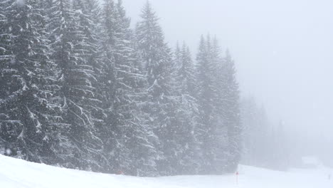 Stunning-winter-landscape-during-snowfall.-Static,-slomo