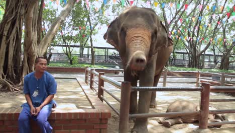 Elefantenmutter-Und--baby-Mit-Ihrem-Hundeführer-Im-Samphran-Elephant-Ground-Und-Zoo-In-Der-Nähe-Von-Bangkok,-Thailand