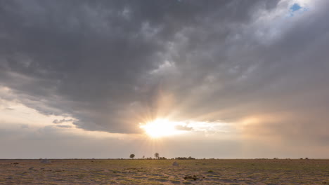 Stormy-Clouds-With-Bright-Sun-Flares-Over-The-Nxai-Pan-National-Park-With-African-Animals-Walking-In-Botswana
