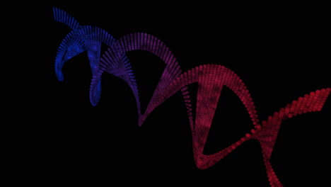 Spinnende-Genetische-DNA-Helix-Grafikillustration,-Rotierend-Auf-Schwarzem-Hintergrund