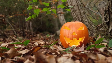 Símbolo-De-Halloween-Jack-O-Linterna-Calabaza-Brillando-En-El-Bosque-De-Otoño
