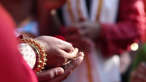 Manos-En-Una-Anciana-India-Sosteniendo-Pétalos-De-Flores-Durante-Una-Ceremonia-Religiosa-Hindú-Sagrada