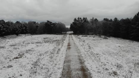 Ein-Fußweg-Im-Schneebedeckten-Königswald-Am-Stadtrand-Von-Bury-St.-Edmunds,-Suffolk,-Großbritannien