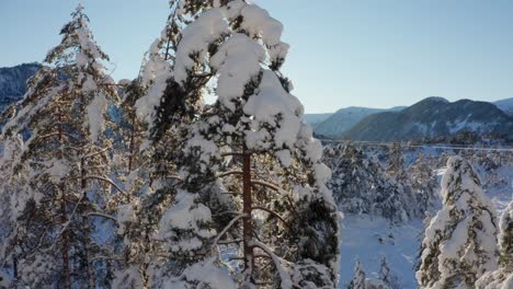 País-De-Las-Hadas-Soles-Derritiendo-Diciembre-Temporada-Nieve-Hardangervidda-Vestland-Noruega