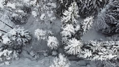 Aerial-top-down-shot-through-beautiful-frozen-woods-reveal-Snow-covered-house