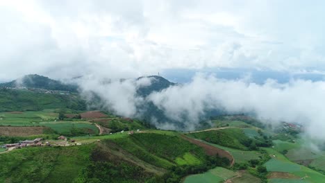 Scenic-Drone-Footage-Of-Cabbage-Plantation-With-Foggy-Weather-In-Background