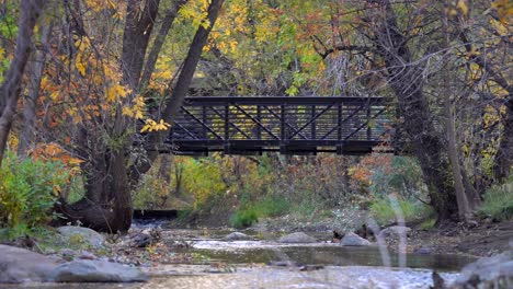 Running-in-the-Boulder-Creek-in-slow-motion