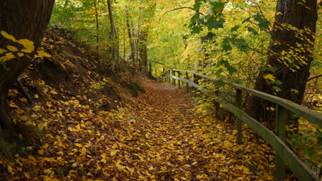 Langsame-Bewegung-Auf-Dem-Herbstpfad-Im-Wald