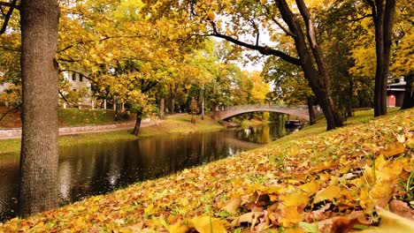 Statische-Aufnahme-Des-Goldenen-Herbstsaisonparks-Mit-Wunderschöner-Betonbrücke-über-Einem-Kleinen-Wasserteich,-Während-Goldene-Blätter-Von-Einer-Leichten-Brise-Geblasen-Werden