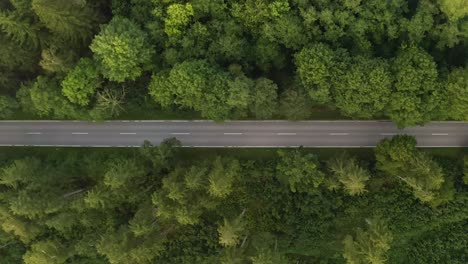 A-white-passenger-car-is-driving-down-a-street-in-a-green-forest,-top-shot-drone-footage