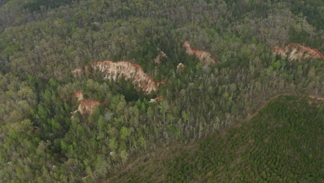 Providence-Canyon-Georgia-Luftaufnahme-V2-Aus-Der-Vogelperspektive,-Rotierende-Aufnahme-Eines-Waldes-Aus-Der-Ferne-–-März-2020