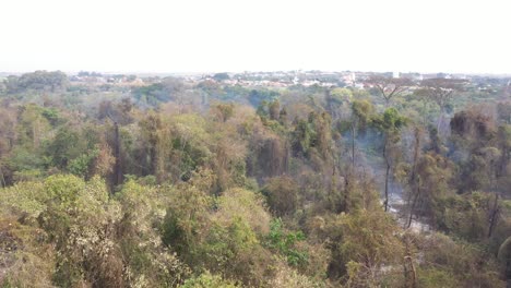 Burnt-vegetation-near-city-of-Campinas,-Brazil