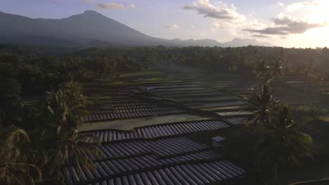 Luftaufnahme-Von-Landwirtschaftlichen-Feldern-Und-Dem-Vulkan-Mount-Rinjani-Bei-Sonnenaufgang-Auf-West-Nusa-Tenggara,-Lombok