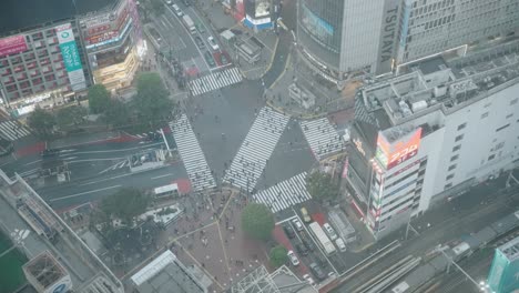 Super-Wide-High-Angle-Top-Down-Shot-of-People-Crossing-at-the-Shibuya-Crossing-At-Dusk