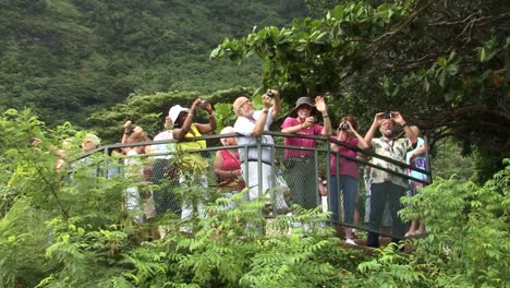 Tourists-taking-picture-from-Belvedere-Lookout-in-Moorea,-French-Polynesia