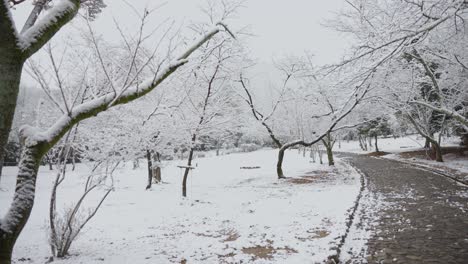 Snowy-Pathway-through-park-in-Winter-Scene