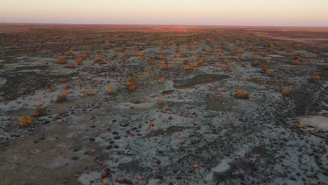 Drone-footage-of-Coopers-Creek-campsite-on-Birdsville-Track,-outback-South-Australia,-at-dusk