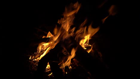 Aufblühende-Lagerfeuerflamme-Aus-Holz-Im-Dschungel