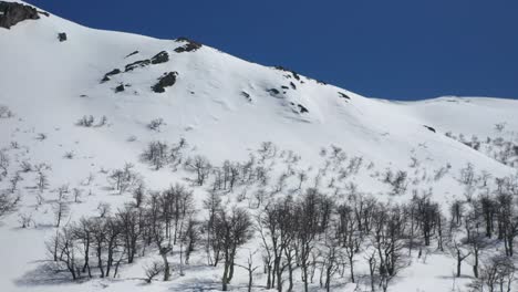Dolly-Erhebt-Sich-über-Dem-Schneebedeckten-Piltriquitron-Hügel-Mit-Toten-Bäumen-In-Der-Wintersaison,-El-Bolsón,-Patagonien,-Argentinien