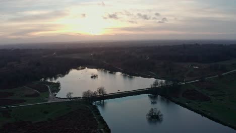 Aerial-drone-shot-over-richmond-park-at-sunset