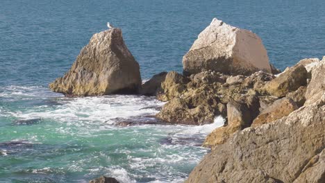 Blue-Waves-breaking-on-rocky-coastline,-seagull-on-rock