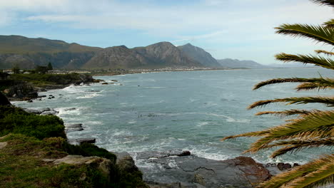 Whale-watching-right-next-to-rocky-Hermanus-coastline,-mother-blows-and-calf-breaks-surface
