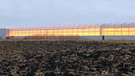Revol-Greens-Baut-Das-Ganze-Jahr-über-Bio-Salat-In-Großen,-Technologischen-Gewächshäusern-Mit-Gefiltertem-Regenwasser,-Strahlungswärme-Und-Speziellen-LED-Wachstumslampen-An