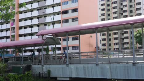 Cyclist-in-a-covered-pedestrian-and-bicycle-covered-path,-Whampoa,-Singapore-City