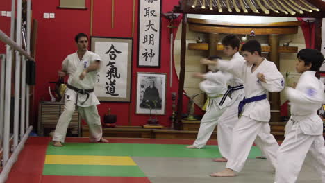 El-Maestro-Muestra-A-Los-Estudiantes-De-Karate-Cómo-Golpear-Correctamente-Desde-El-Pecho,-Practicar
