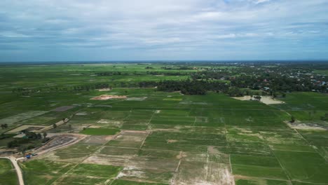 Aerial-view-of-rice-paddies-ib-Cambodia,-South-east-Asia