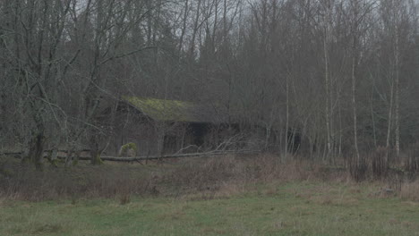 Abandoned-barn-in-the-middle-of-nowhere