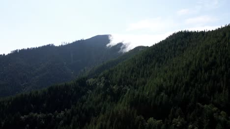 Tracking-below-a-high-mountain-forest-ridge-covered-with-advection-fog,-aerial