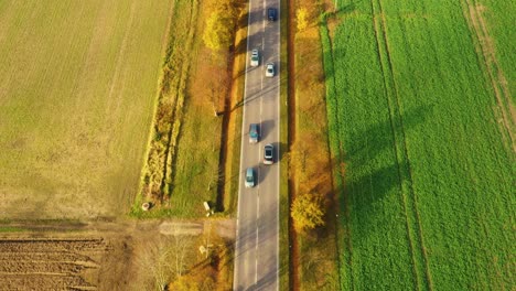 Aerial-view-of-road-in-beautiful-autumn-forest-at-sunset-in-rural