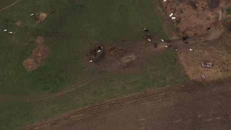 Flying-over-a-farmhouse-in-Rome,-Pennsylvania--top-view