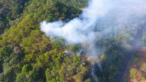Aerial-view-of-a-forest-fire-near-a-road,-danger-for-cars-and-traffic---pull-back,-drone-shot