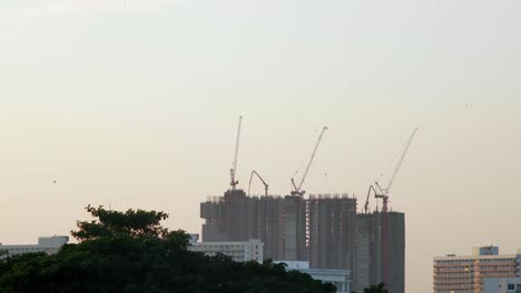Urban-view-with-construction-and-birds-flying-around