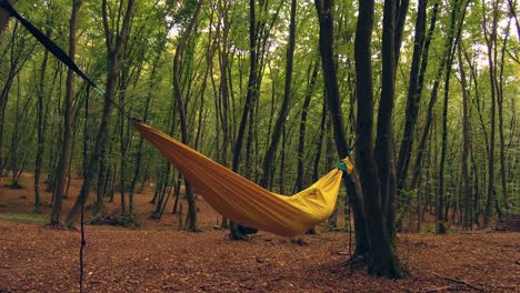 Slow-and-smooth-zoom-into-a-hammock-in-the-woods