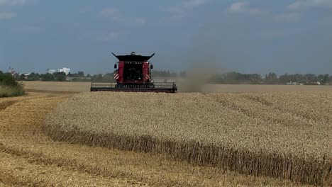 Wheat-Harvest-near-Magdeburg-with-Harvester-and-Cutting-Unit,-Germany