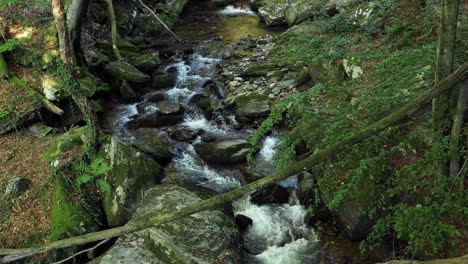 Drohne-Fliegt-über-Gebirgsfluss,-Felsen-Und-Felsbrocken-Im-Wald,-Bistriski-Vintgar-Schlucht-Auf-Pohorje,-Slowenien,-Wander--Und-Outdoor-Tourismus-Wahrzeichen,-Ökologie-Konzept-Für-Sauberes-Wasser,-Natürliche-Ressourcen