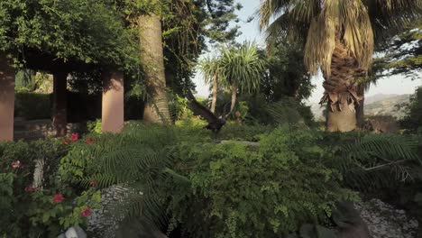 Eagle-statue-stands-in-a-traditional-Spanish-garden