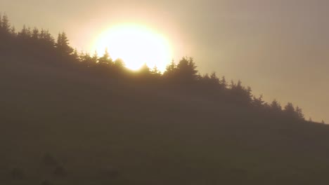 Sun-rising-from-behind-a-sloping-hillside-covered-with-pine-trees-and-morning-fog