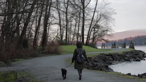 Mujer-Joven-Paseando-A-Su-Pequeño-Perro-Negro-En-Un-Arnés-Azul-Junto-Al-Océano-Pacífico-En-Un-Exuberante-Parque-Verde-En-Una-Agradable-Tarde-De-Invierno-En-Vancouver,-Canadá