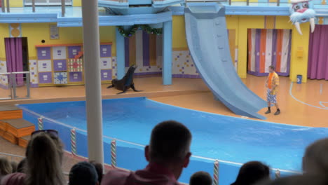 A-Grey-Seal-Catches-Fish-Thrown-by-a-Trainer-During-a-Kids-Show-at-SeaWorld-in-Slow-Motion