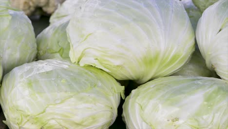 Cabbages-for-sale-at-the-free-fair,-panoramic-plan
