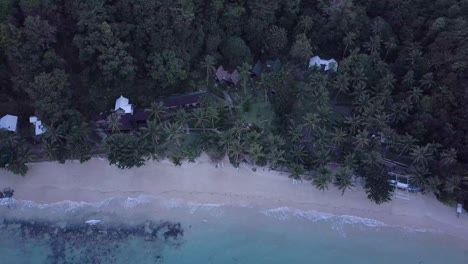 Aerial-of-small-huts-between-palm-trees-on-beach-with-jungle-and-clear-waters---camera-pedestal-up