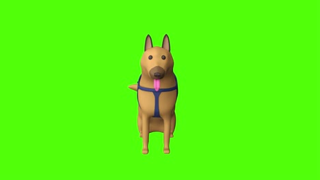 Glücklicher-Deutscher-Hund-Auf-Grünem-Bildschirm