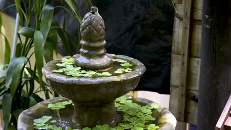 Peaceful-cascading-water-fountain-with-water-plants