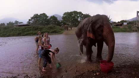 Vista-Panorámica-De-Turistas-Y-Voluntarios-Arrojando-Agua-De-Cubos-A-Elefantes